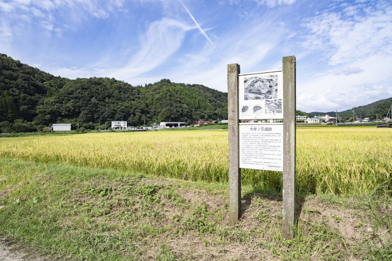 大年ノ元遺跡